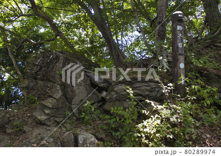 獅子岩 大霧山登山道 埼玉県東秩父村 獅子岩 大霧山登山道 埼玉県東秩父村 80289974
