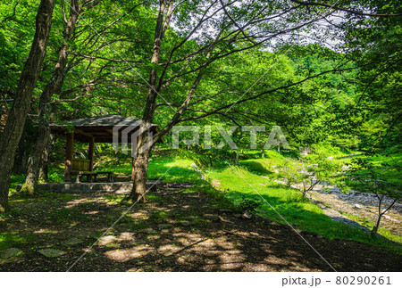 牛伏寺キャンプ場 80290261