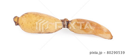 Lotus root on the white background Lotus root on the white background 80290539