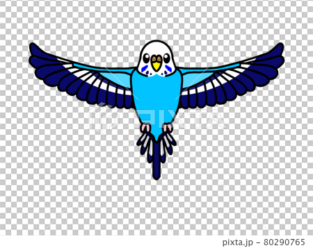 Flying budgerigar Oparin Flying budgerigar Oparin 80290765