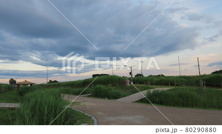 夕焼け公園 ワールドカップ公園 空公園 80290880