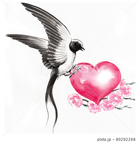 Swallow bird and pink heart. Ink and watercolor drawing Swallow bird and pink heart. Ink and watercolor drawing 80292268
