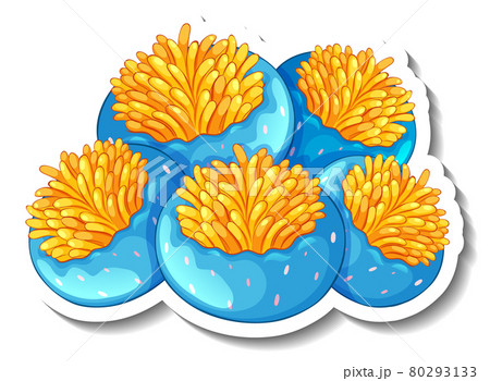 A sticker template with Coral sea element isolated A sticker template with Coral sea element isolated 80293133