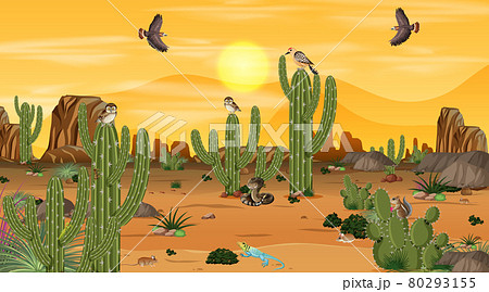 Desert forest landscape at sunset scene with desert animals and plants 80293155
