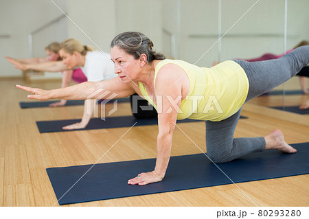 Women are doing extended cat pose 80293280