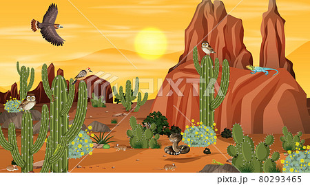 Desert forest landscape at sunset scene with desert animals and plants 80293465