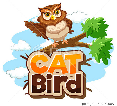 Owl on branch cartoon character with Cat Bird font banner isolated 80293885