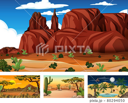 Different desert forest landscape scenes with various desert plants 80294050