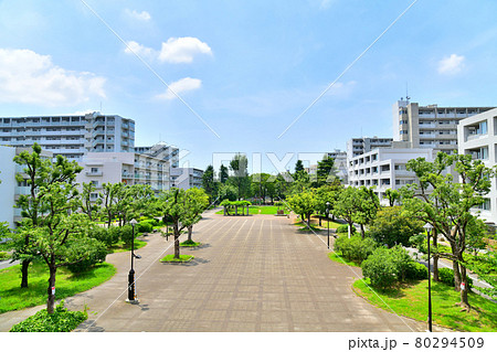 北三谷橋より東綾瀬公園わくわく広場方面を望む(東京都足立区)【2021.7】 北三谷橋より東綾瀬公園わくわく広場方面を望む(東京都足立区)【2021.7】 80294509