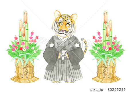 2022年寅年 トラと門松【手描き水彩画】 2022年寅年 トラと門松【手描き水彩画】 80295255