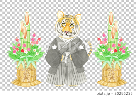 2022年寅年 トラと門松【手描き水彩画】 2022年寅年 トラと門松【手描き水彩画】 80295255