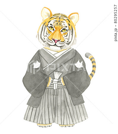 紋付袴を着ているトラ【手描き水彩画】 紋付袴を着ているトラ【手描き水彩画】 80295257