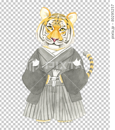 紋付袴を着ているトラ【手描き水彩画】 紋付袴を着ているトラ【手描き水彩画】 80295257