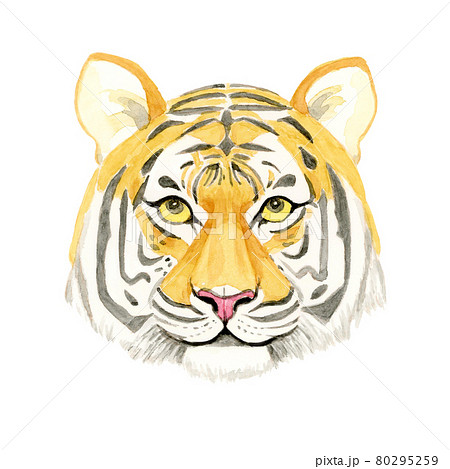 Buy ORIGINAL Tiger Colour Pencil Drawing Online in India - Etsy