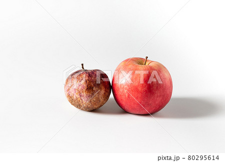Rotten old and fresh ripe apples on a white background. Trendy ugly food concept. The problem of food waste. Rotten old and fresh ripe apples on a white background. Trendy ugly food concept. The problem of food waste. 80295614