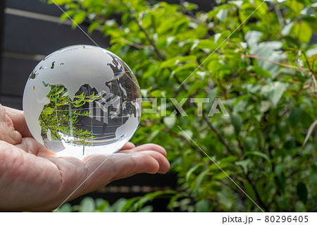 ガラスの地球儀と緑 SDGs 環境保護 イメージ ガラスの地球儀と緑 SDGs 環境保護 イメージ 80296405