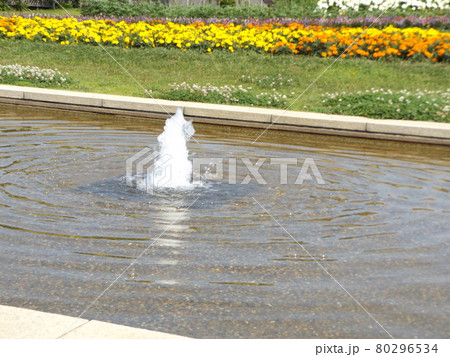 前庭の池の噴水越えのマリーゴールド 前庭の池の噴水越えのマリーゴールド 80296534