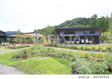 茨城フラワーパーク 茨城県石岡市 茨城フラワーパーク 茨城県石岡市 80296826