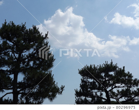 梅雨の晴れ間の青空と白い雲 80296975