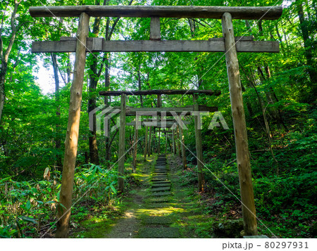 山間の参道に幾重にも連なる鳥居 (湯神社、弥彦村、新潟県) 80297931