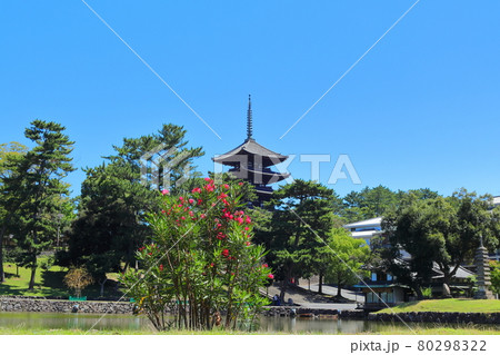 猿沢池から見える興福寺の五重塔 80298322