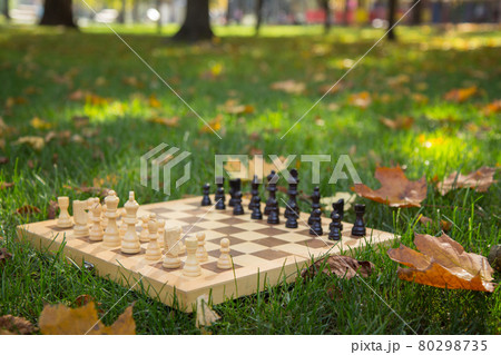 Wooden chessboard and pieces on a grassy ground covered with dry leaves 80298735