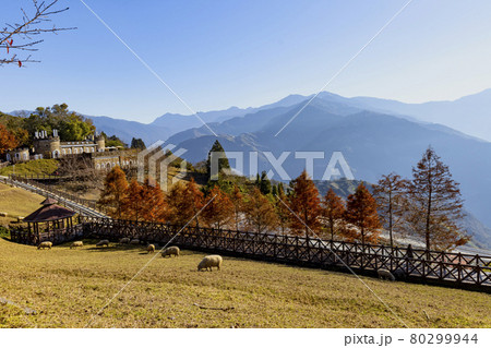 農場 農園 農村地帯 80299944