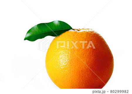 Still life stock photography Still life stock photography 80299982