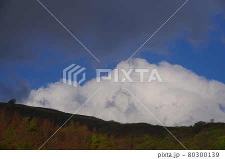 大きいマシュマロ雲　部子山　福井県 80300139