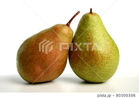 Still life stock photography Still life stock photography 80300306