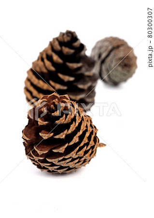 Still life stock photography Still life stock photography 80300307