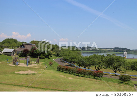 宮城県登米市　長沼フートピア公園周辺 80300557