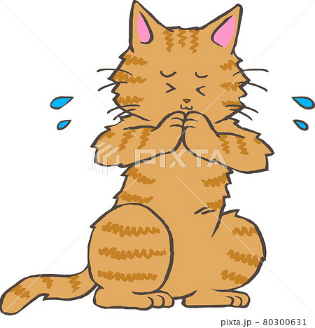 手を合わせて謝る茶トラ猫のイラスト素材
