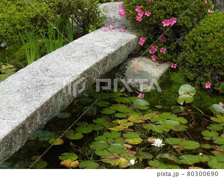 羊草の咲く庭の石橋と池 羊草の咲く庭の石橋と池 80300690