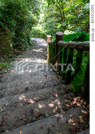 台北 台北市 タイペイ 80301095