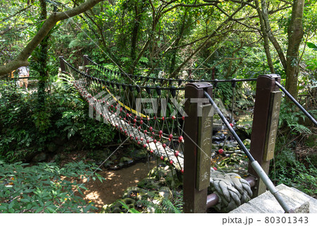 台北 台北市 タイペイ 80301343