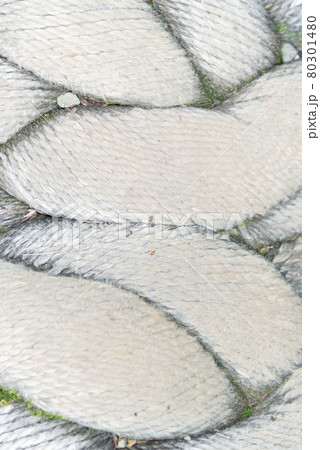 台北 台北市 タイペイ 80301480