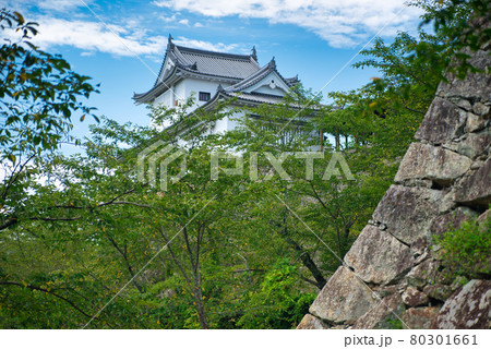 【日本100名城】津山城東二の丸から見た備中櫓 岡山県津山市 【日本100名城】津山城東二の丸から見た備中櫓 岡山県津山市 80301661