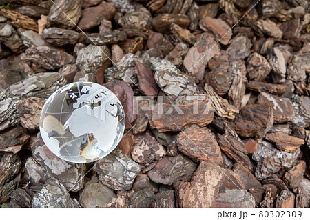 ガラスの地球儀と木片の地面　SDGs　環境保護などのイメージ 80302309