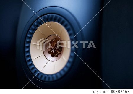 スピーカー 80302563