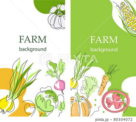 Set of agricultural backgrounds. Harvest. Abstract design. Flyer backgrounds. banners, posters. 80304072