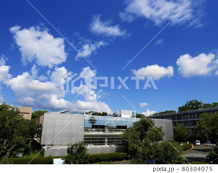 熊本大学附属図書館 中央館 (黒髪キャンパス) 熊本大学附属図書館 中央館 (黒髪キャンパス) 80304075
