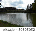 上尾丸山公園の池 80305052