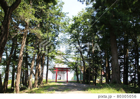 宮城県登米市迫町　津島本宮社周辺　鳥居と風車 80305056