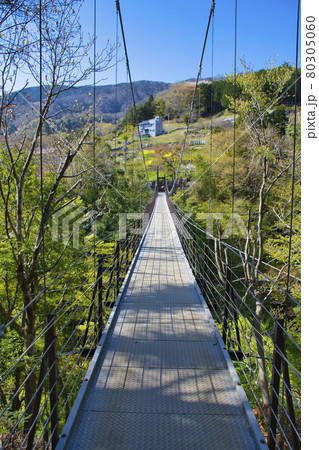 【山梨県道志村】久保吊り橋 80305060