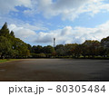 上尾丸山公園 80305484