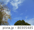 青空 80305485