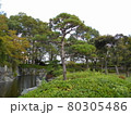 上尾丸山公園 80305486