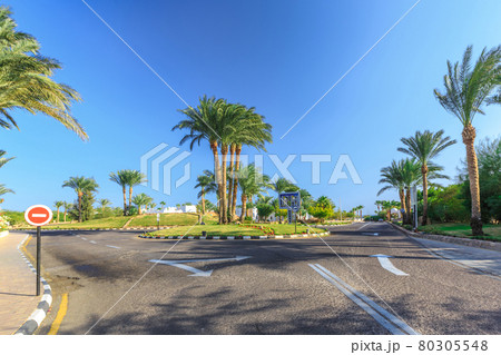 The view to road and palm trees near the hotels 80305548