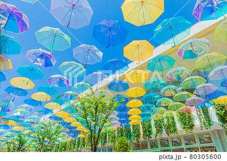エイスクエアの傘が彩る、アンブレラ・パティオ〈滋賀県草津市〉 エイスクエアの傘が彩る、アンブレラ・パティオ〈滋賀県草津市〉 80305600